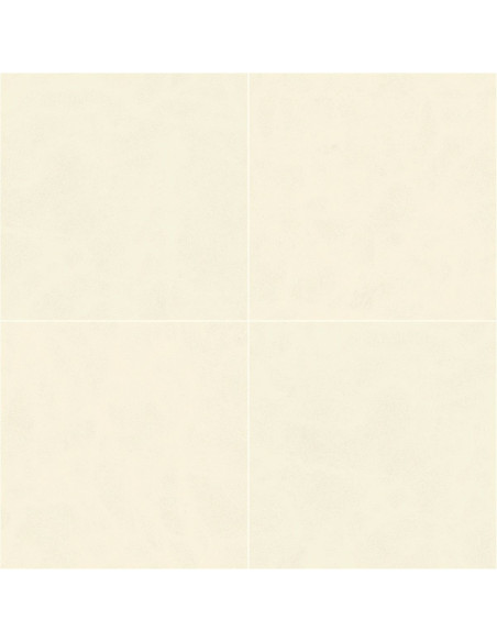 Century Calcio 60 X 60 R